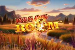 Bison Boom?