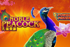 Noble Peacock