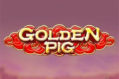 Golden Pig