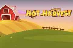 Hot Harvest