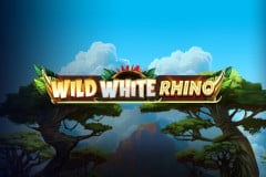 Wild White Rhino