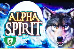 Alpha Spirit