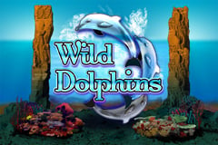 Wild Dolphins