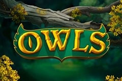 Owls