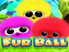 Fur Ball