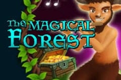 The Magical Forest