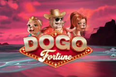 Dogo Fortune