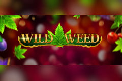 Wild Weed