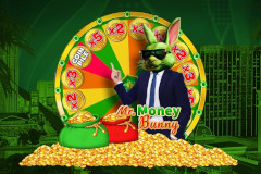 Mr. Money Bunny