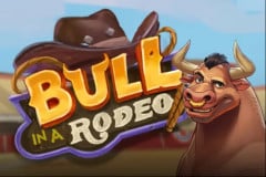 Bull in a Rodeo