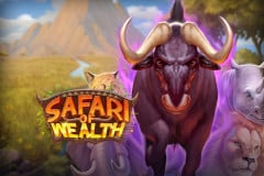 Safari of Wealth