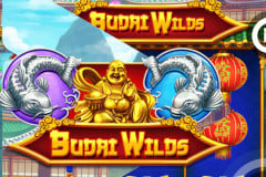 Budai Wilds