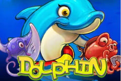 Dolphin