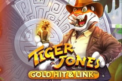 Gold Hit & Link: Tiger Jones™