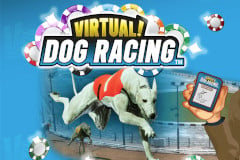 Virtual! Dog Racing