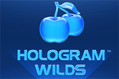 Hologram Wilds