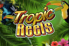 tropic reels slot