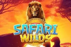 Safari Wilds