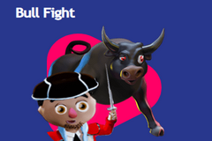 Bull Fight