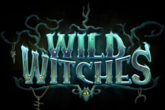 Wild Witches