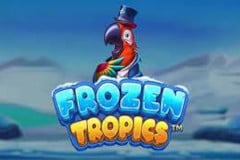 Revisión de la tragamonedas Frozen Tropics