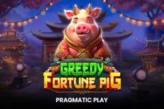 Greedy Fortune Pig