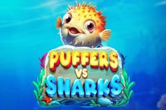 Puffers Vs Sharks