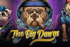 The Big Dawgs