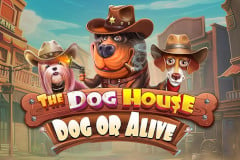 The Dog House: Dog or Alive