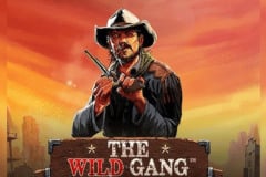 The Wild Gang