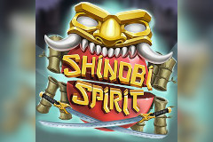 Shinobi Spirit