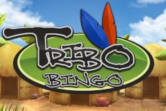 Tribo Bingo