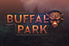 Buffalo Park