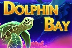 Dolphin Bay