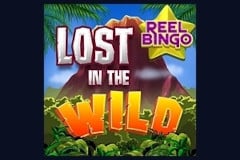 Lost in the Wild with Reel Bingo