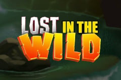 Lost in the Wild