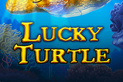 Lucky Turtle