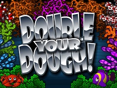 Double Your Dough