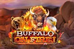 red rake gaming buffalo on fire