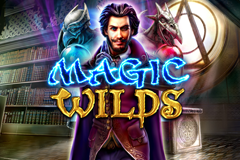 Magic Wilds