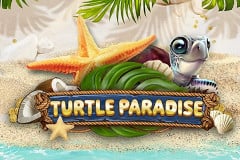 Turtle Paradise