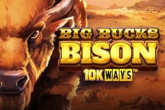 Big Bucks Bison 10K Ways™