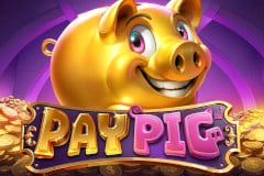 Pay Pig™