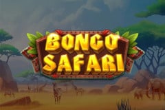 Bongo Safari