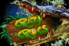 Crazy Crocs