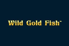 Wild Gold Fish