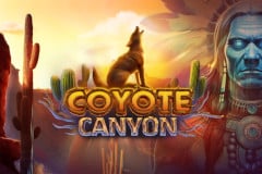 Coyote Canyon