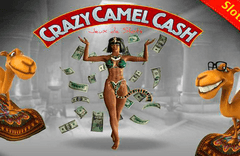 Crazy Camel Cash