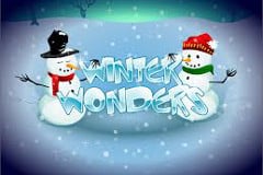 Winter Wonders