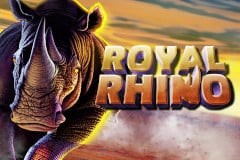 Royal Rhino